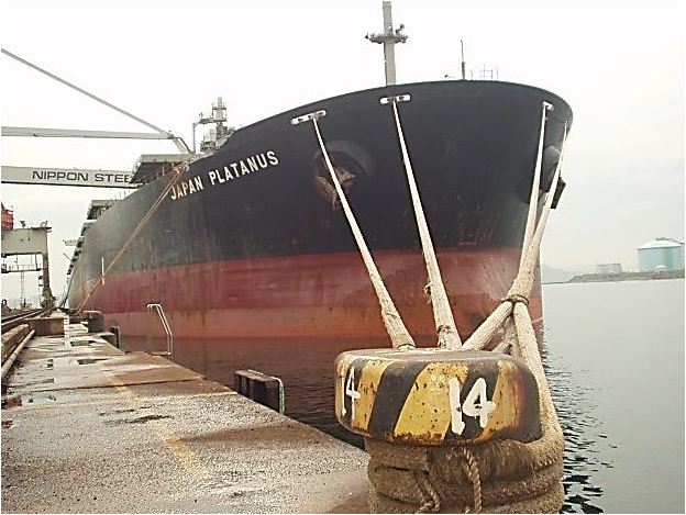 Стоянка балкера Japan Platanus в порту
